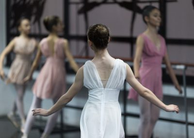 profesionalna baletska nastava 2